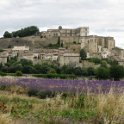 IMG_1959