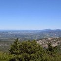 IMG_2028