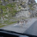 2017 Lofoten (1000)