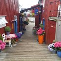 2017 Lofoten (523)