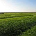IMG_1851