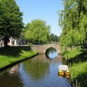 IMG_1881