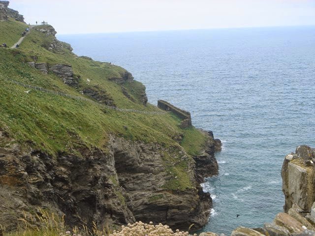 DSC02541