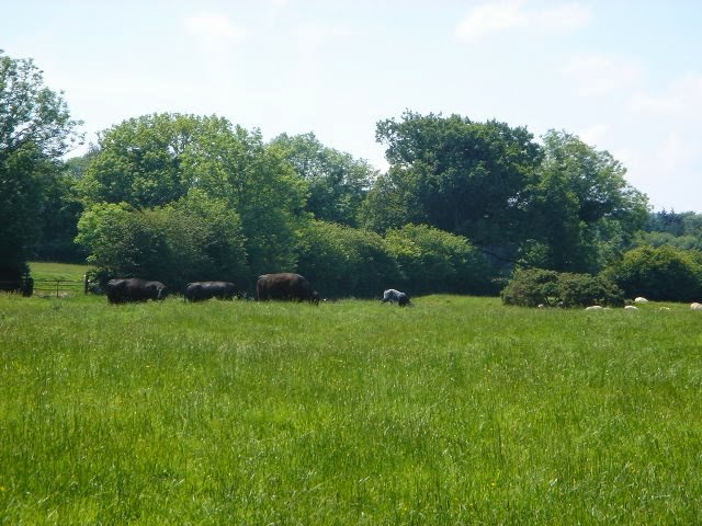 DSC02755