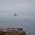 DSC02510