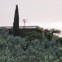 IMG_4716