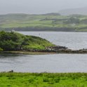 IMG_3072