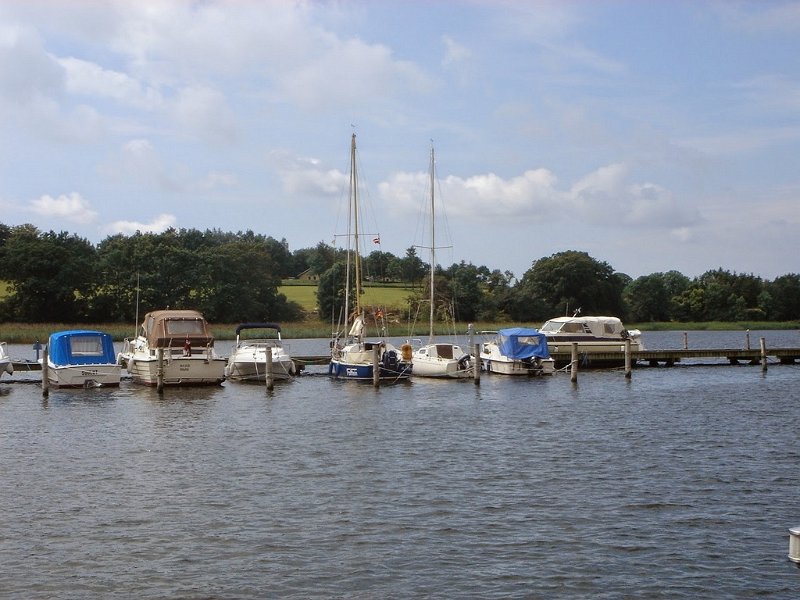 DSC03651
