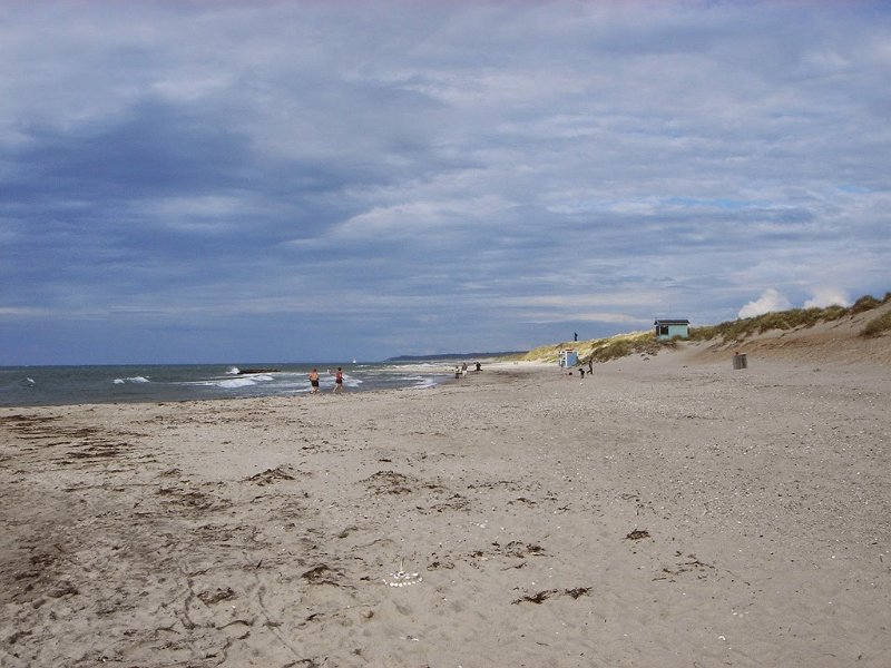 DSC03654