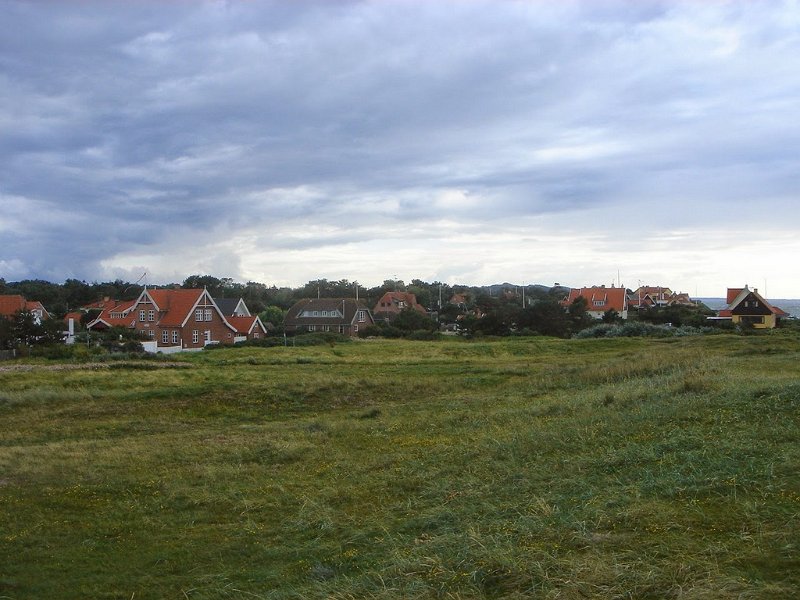 DSC03681