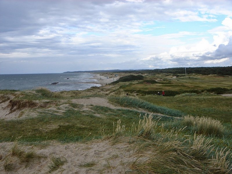 DSC03683