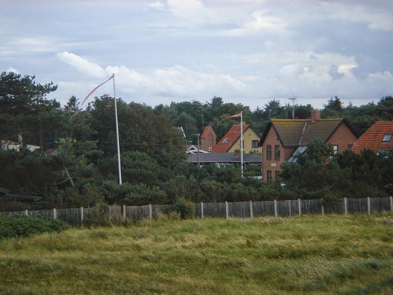 DSC03685