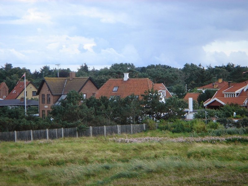DSC03686