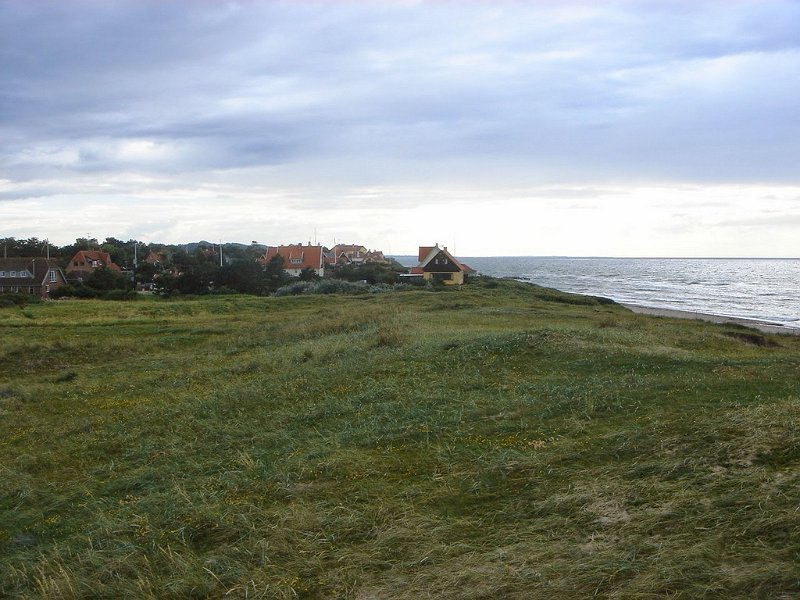DSC03687