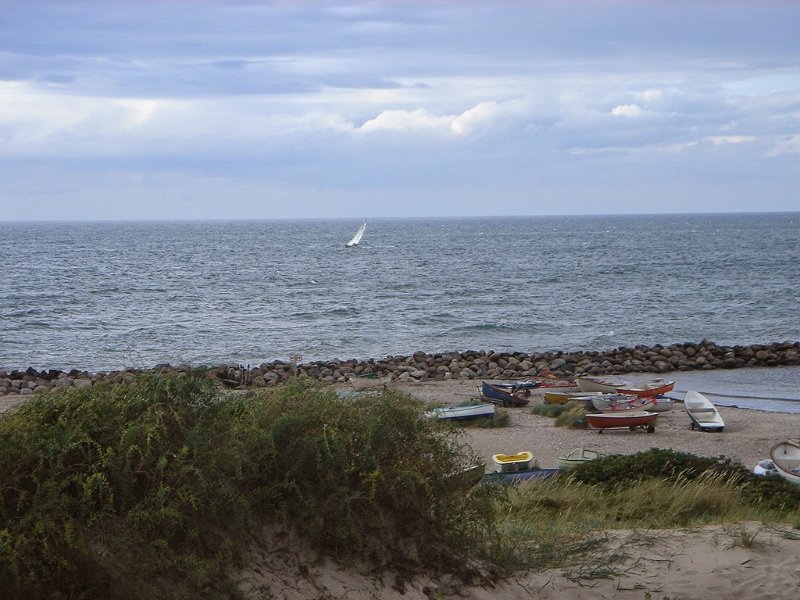 DSC03688