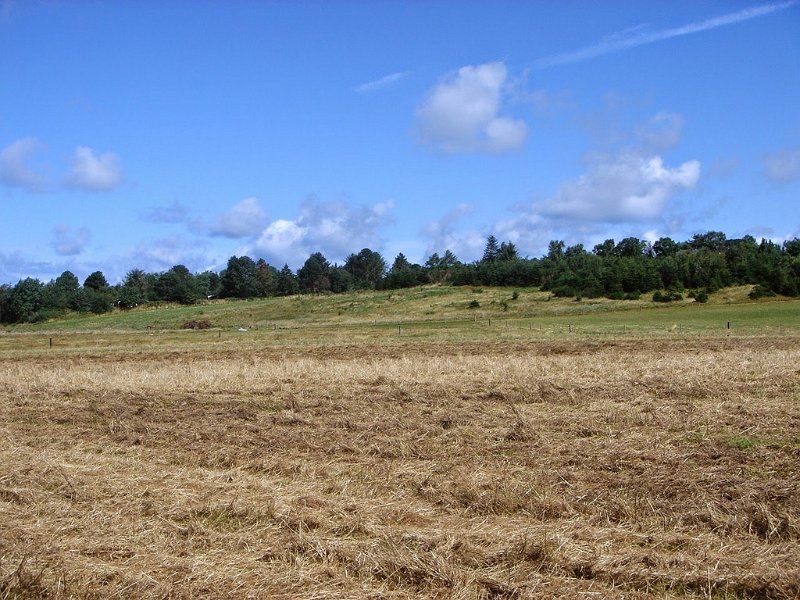DSC03691