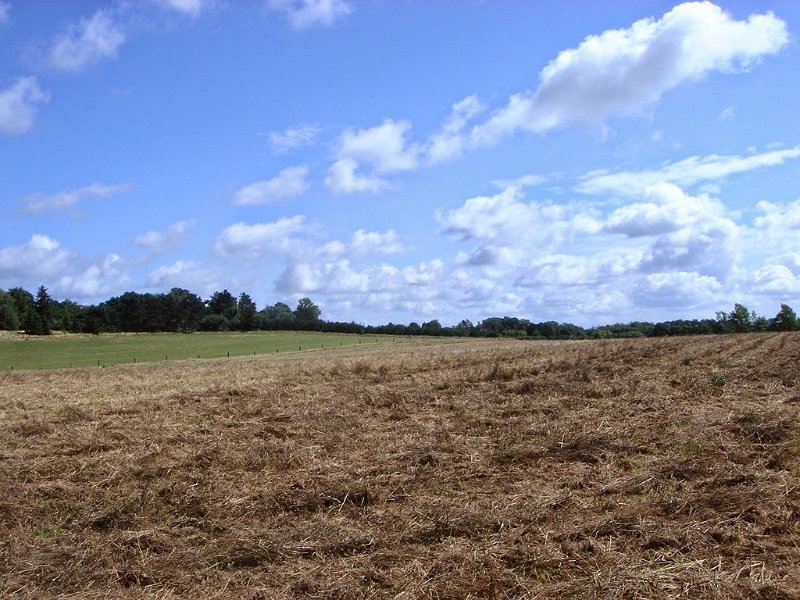 DSC03692