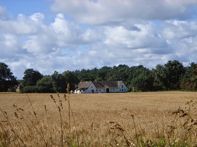 DSC03693