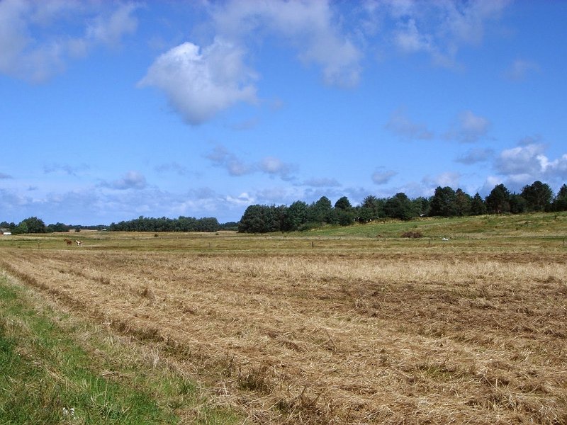 DSC03695