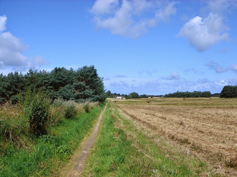 DSC03696