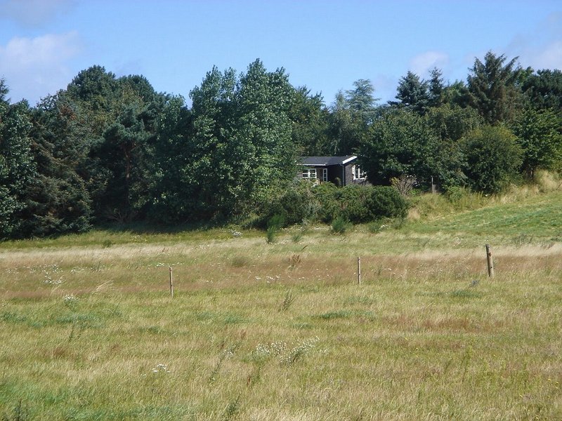 DSC03701