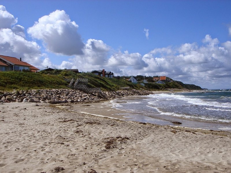 DSC03708
