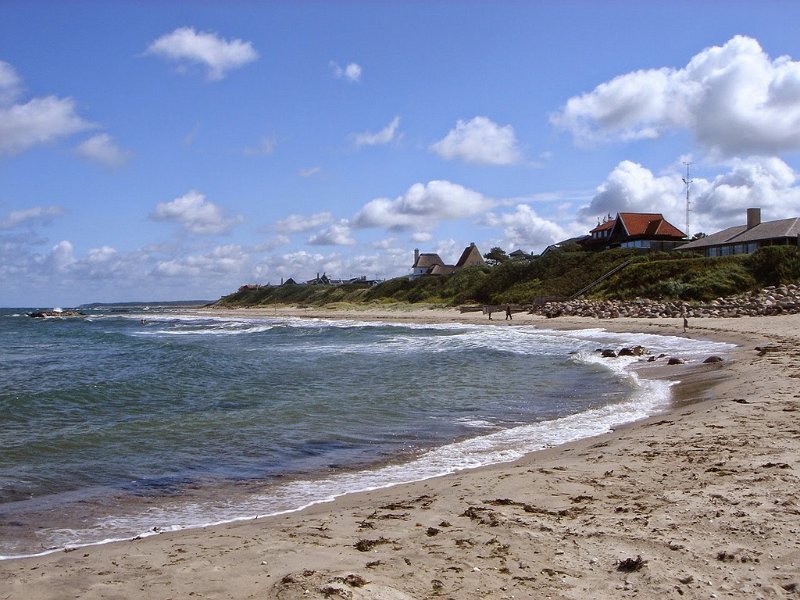 DSC03710