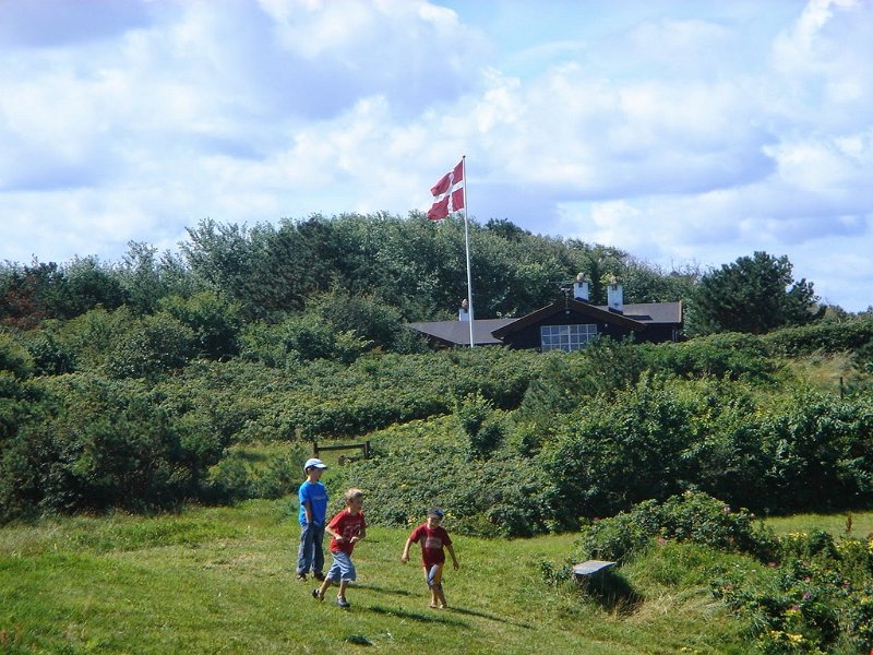 DSC03776