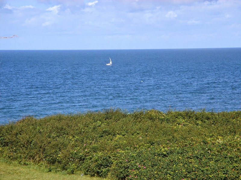 DSC03778