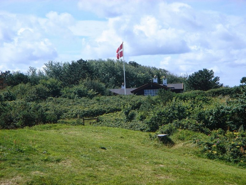 DSC03784