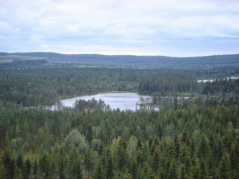 DSC04045