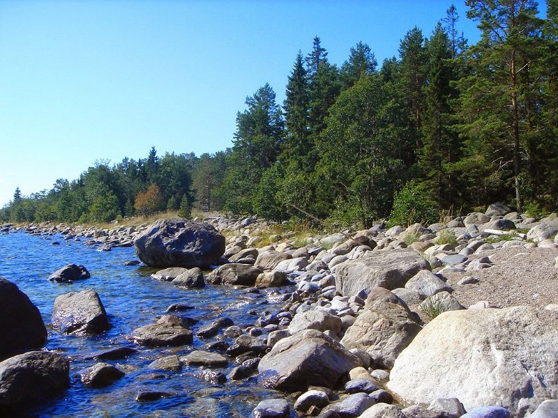 DSC04470
