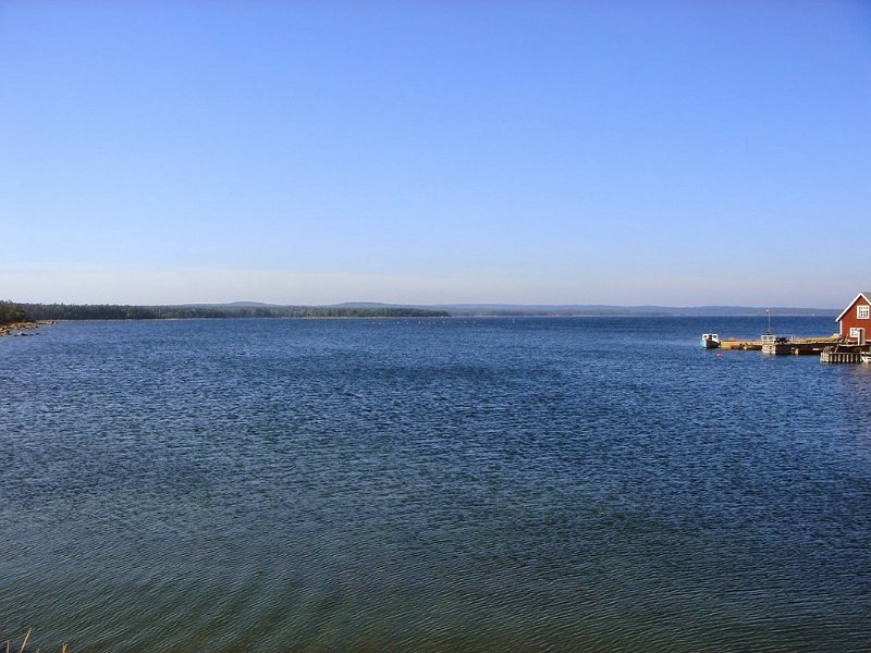 DSC04534