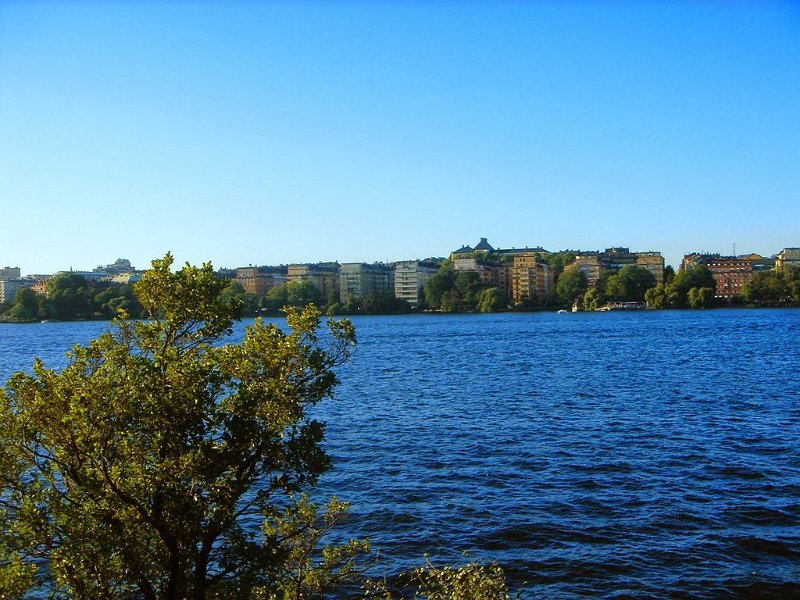 DSC04559