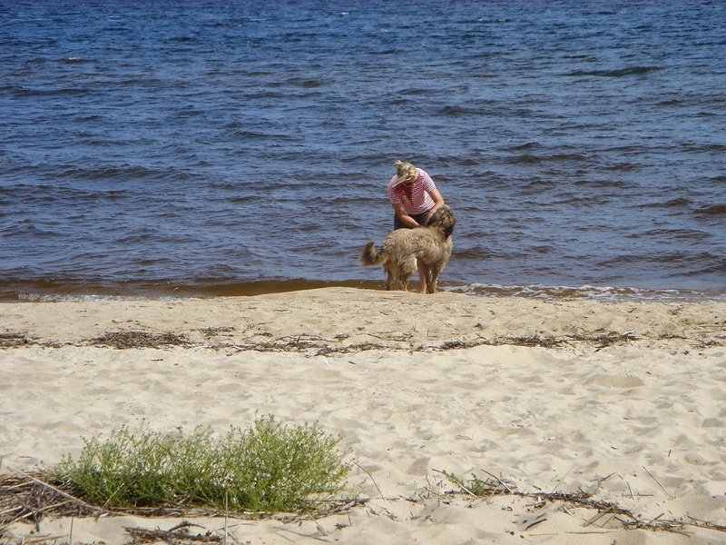 DSC04991