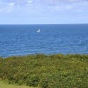 DSC03778