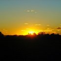 DSC03902