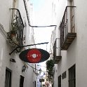 IMG_4255