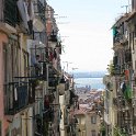 IMG_4531